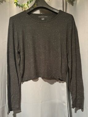 American Eagle Cropped Long Sleeve